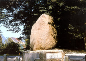 Dikke Steen - Woold