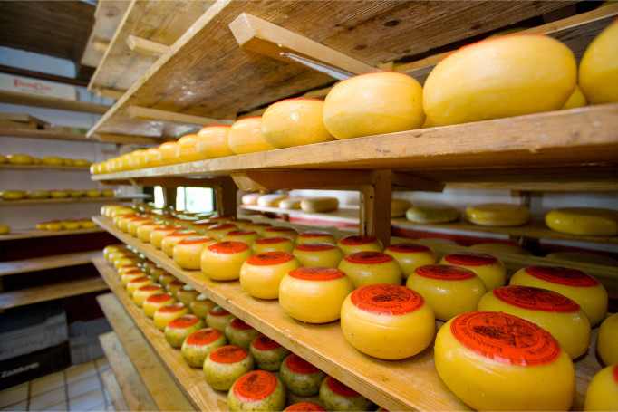 Kaasboerderij en Herberg Harmienehoeve Winterswijk