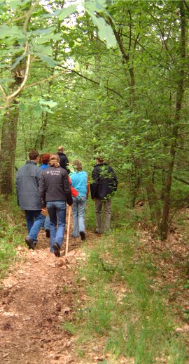 Boswandeling in het voorjaar - Harmienehoeve.nl